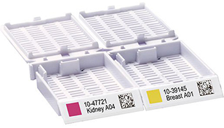 派美雅包埋盒打印完成樣品