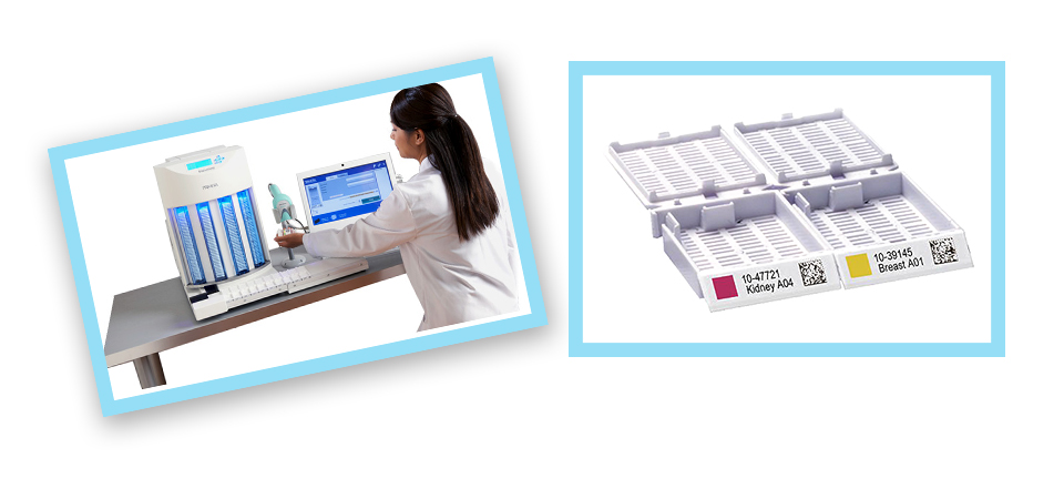 派美雅全自動(dòng)包埋盒打號機(jī)工作現(xiàn)場